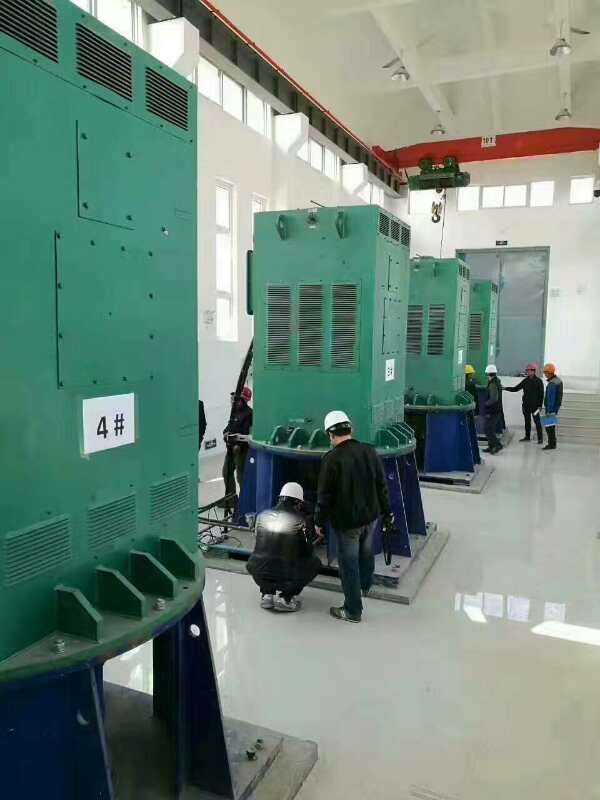 白沙某污水处理厂使用我厂的立式高压电机安装现场生产厂家