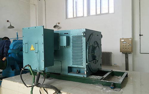 白沙某水电站工程主水泵使用我公司高压电机